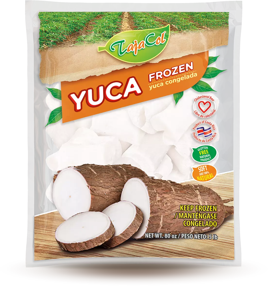 foto-yuca-1